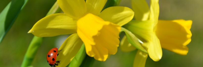 Kar- und Ostertage 2026